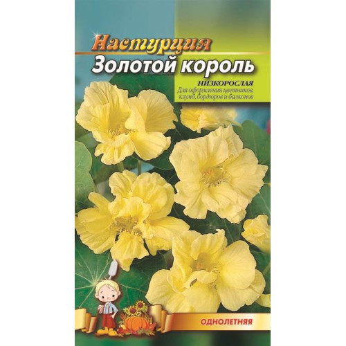 Золотой король — насіння, Квіти