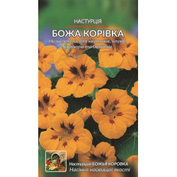 Настурція, , Божа корівка. .