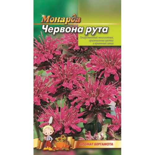 Монарда. Червона рута — насіння, Квіти