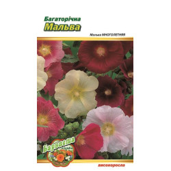 Мальва багаторічна