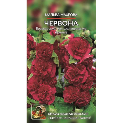Мальва махрова, червона — насіння, Квіти