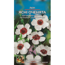 Льон ясні оченята