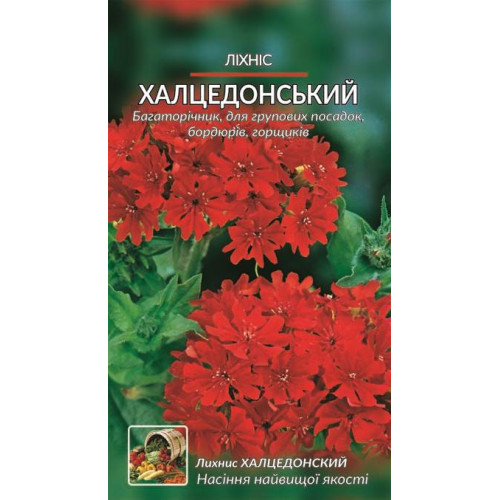 Ліхнис Халцедон — насіння, Квіти