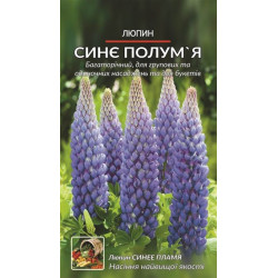 Люпин сине полумья