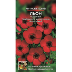 Льон крупноквітковий