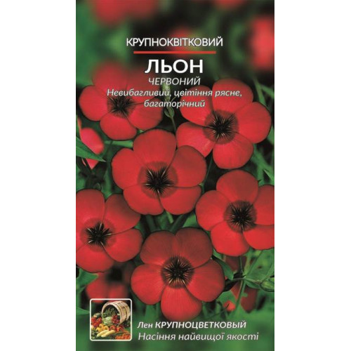 Льон крупноквітковий — насіння, Квіти