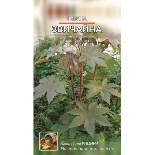 Рицина звичайна — насіння, Квіти