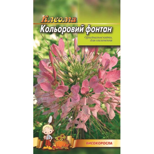 Клеома. Кльоровий фонтан — насіння, Квіти