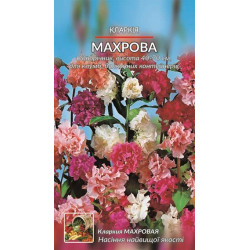 Кларкія махрова