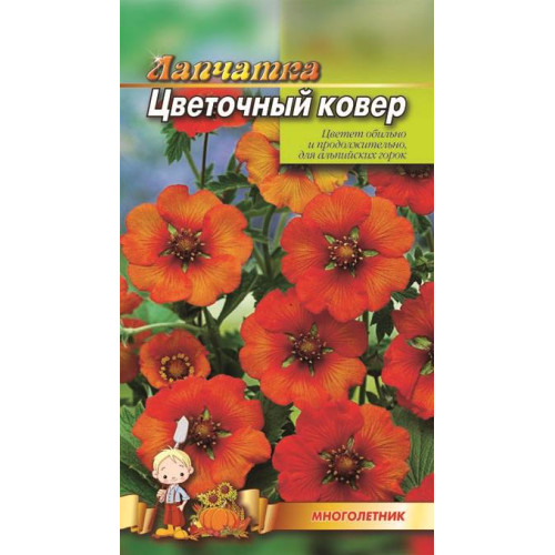 Лапчатка — насіння, Квіти