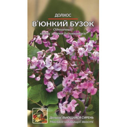 Доліхос. Вьюнкий бузок