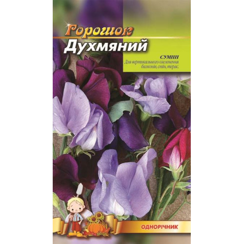 Горошок духмяний. Суміш — насіння, Квіти