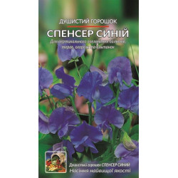 Духмяний горошок Спенсер синій