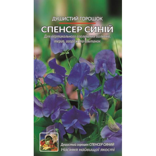 Духмяний горошок Спенсер синій — насіння, Квіти
