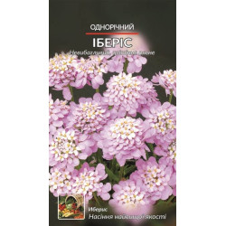 Іберіс однорічний