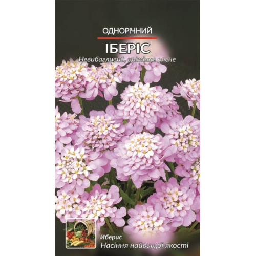 Іберіс однорічний — насіння, Квіти
