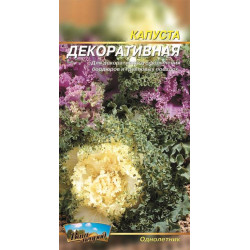 Капуста Декоративна