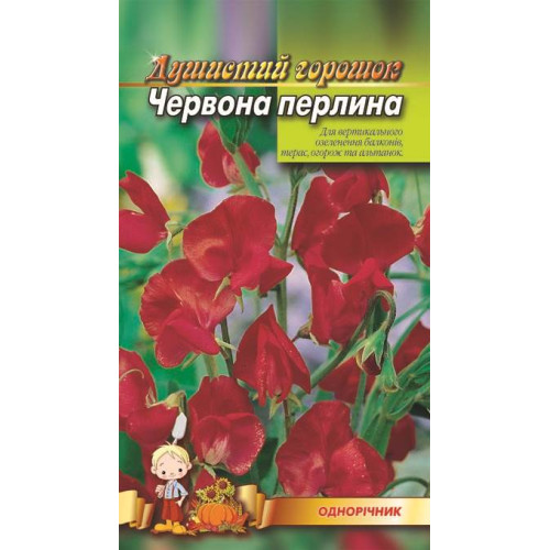 Духмяний горошок. Червона перлина — насіння, Квіти