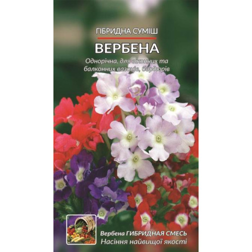 Вербена. Суміш. — насіння, Квіти