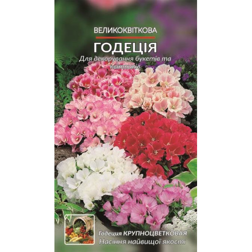 Годеція — насіння, Квіти