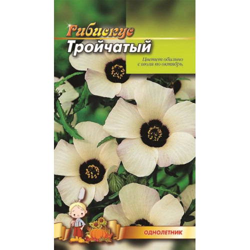 Гібіскус трійчатий — насіння, Квіти