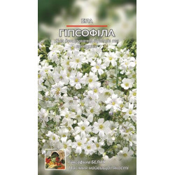 Гіпсофіла біла
