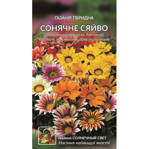 Газанія. Сонячне сяйво — насіння, Квіти