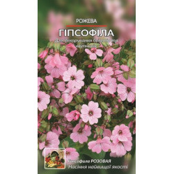 Гіпсофіла рожева