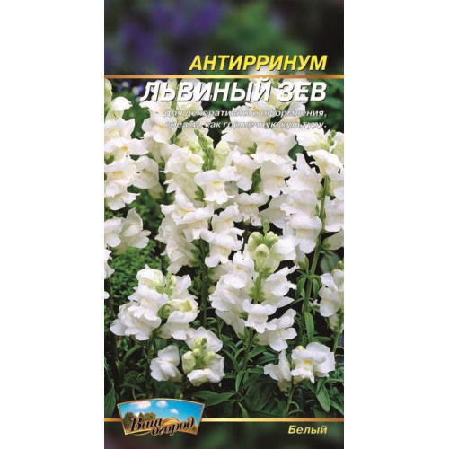 Антіррінум, Левова паща — насіння, Квіти