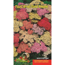 Тисячелистник