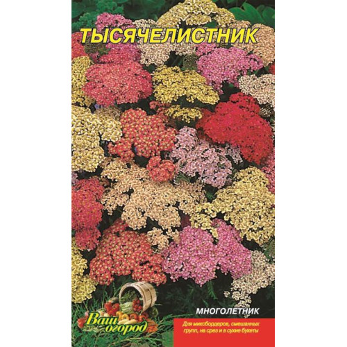 Тисячелистник — насіння, Квіти