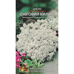 Алисум. Сніговий килим.