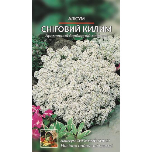 Алисум. Сніговий килим. — насіння, Квіти