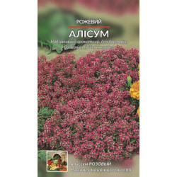 Алисум рожевий.