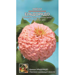 Майоры Ельдорадо