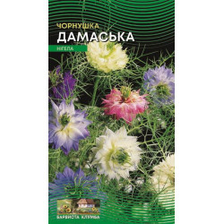 ЧернушкаДамасська