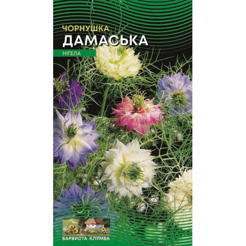 ЧернушкаДамасська — насіння, Квіти