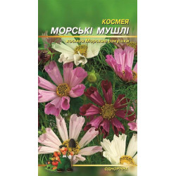 Космея. Морські мушлі