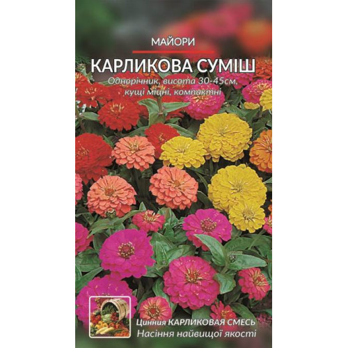 Карликова суміш — насіння, Квіти