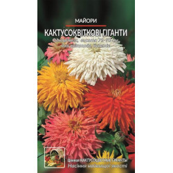 Майоры кактусовидні