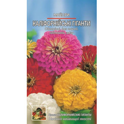 Каліфорнійські гіганти