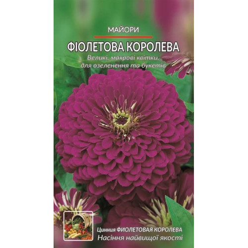 Майори. Фіолетова королева. — насіння, Квіти