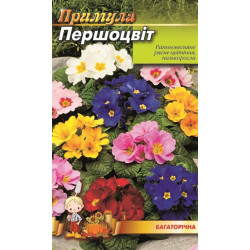 Примула, певоцвіт