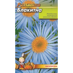 Ромашка великоквіткова синя