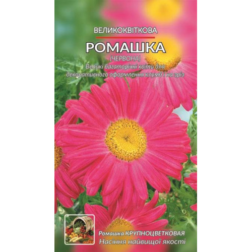 Ромашка великоквіткова, рожева — насіння, Квіти