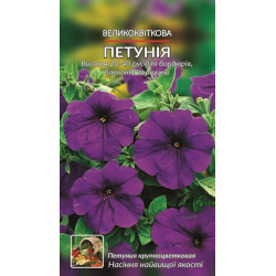 Петунія великоквіткова фіолетова
