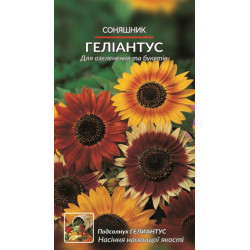 Соняшник. Гелиантус.