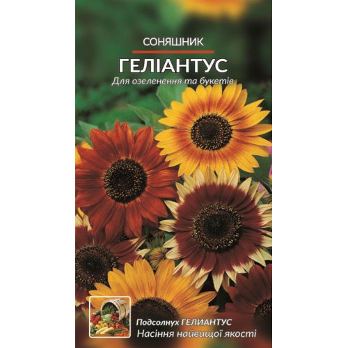 Соняшник. Гелиантус. — насіння, Квіти