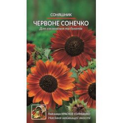 Соняшник. Червоне сонечко