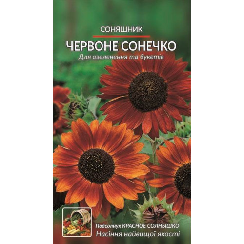Соняшник. Червоне сонечко — насіння, Квіти